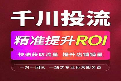 百度推广案例：精准广告投放策略解析